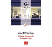 L'audit social