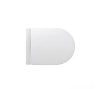 LAUFEN Pro mural washdown WC H8209650000001 blanc , sans monture, saillie 49cm