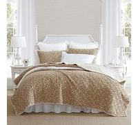Laura Ashley - Parure de lit pour Grand lit, en Coton léger avec taies Assorties, décoration d'intérieur d'inspiration Florale Vintage avec Revers uni (Loveston Orange brûlé, Grand lit)