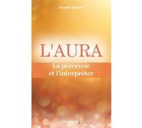 L'aura Joseph Ostrom (Auteur), Philippe Wallon (Traduction)