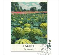 Laurel Delaware Puzzles 1000 pièces | un puzzle pour se détendre après le travail un passe temps satisfaisant qui aide à décompresser complètement à la maison