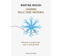 L'aurora delle cose invisibili. Ritrovare la propria luce sotto il cielo del Nord