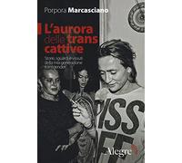 L'aurora delle trans cattive. Storie, sguardi e vissuti della mia generazione transgender