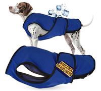 Lautus Gilet fraicheur Chien - Veste légère pour Petits Chiens Fermeture éclair/Velcro - Facile à Mettre/enlever promenades/Voyages/extérieur - XXL