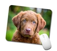Lavable Tapis De Souris Chiot Retriever De La Baie De Chpeake 25X30Cm, Gamer Mouse Pad Stable Tapis De Gaming pour Jeux Pc Souris