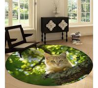 Lavable Tapis Rond 160 cm, Lumière Du Soleil Sur Des Branches D'Arbre Chat Motif Doux Antidérapant Tapis à Poils Courts Photographie De Nature Flanelle pour Chambre Salon Cuisine Bureau Décorations