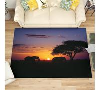 Lavables Tapis de Salon Silhouette D'éLéPhant Des Prairies, 60x90 cm Entretien Facile Intérieur Moquette - Paysage Au Coucher du Soleil Petit Tapis Poils Ras Antidérapant pour Chambre D'enfant