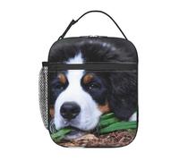 LaVami Beau bouvier bernois, Sac à déjeuner, sac isotherme réutilisable, boîte à déjeuner isolée durable, sac fourre-tout réutilisable pour adultes