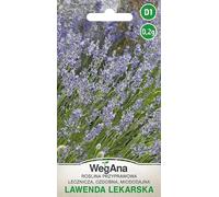 Lavande 0,2g Pluriannuelle Graines De Légumes Robustes,Graines De Légumes,Graines Culture Herbe Herbe Lavandula Angustifolia Décorative
