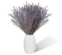 Lavande Getrocknet 100 Stängel, 43 cm Lang Naturlicher Getrockneter Lavande Trockenblumen déco, Boho Déco