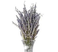Lavande séchée - Bouquet de Fleurs Violettes Naturelles, Arrangement de Vase élégant | Décoration de Parfum pour la Maison, Ornement de Symbole éternel pour fête de Vacances et Mariage