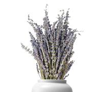 Lavande séchée | Fleurs sèches pour la décoration - Bouquet de Fleurs Symbole d'amour Arrangement Floral DIY Aide au Sommeil Vase Mural Table Décorations pour la Maison
