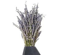 Lavande séchée - Paquets de lavande portables | Groupe de lavande décorative, arrangement floral parfum à la maison, symbole d'amour pour la fête, la maison, décoration de mariage