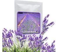 Lavande Vraie Ca.150 Graines - Beau Buisson Parfumé Et Plante De Jardin Très Populaire