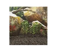 vidaXL Roches volcaniques Pierres de lave décoration aquarium Rouge 25 kg 5–8 mm