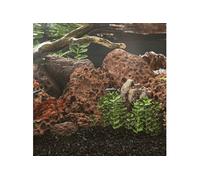 vidaXL Roches Volcaniques, Pierres de Lave sous-Marine, Roches de Lave d'Aquarium, Décorations d'Aquarium Jardin Exterieur, 10 kg Rouge 10-30 cm