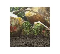 vidaXL Lavastenen 25 kg 5-8 cm zwart3217185 Noir G