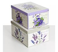 Lavatelli Lot de 2 boîtes de Rangement en Carton, avec Couvercle, pour Ranger, boîtes Cadeau, 39x50x24 cm Mix 11, Couleur 11