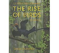 L'avènement des oiseaux : 225 millions d'années d'évolution