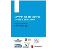 L'avenir Des Procédures Civiles D'exécution