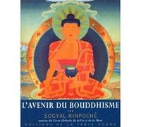 L'avenir du bouddhisme et autres textes Sogyal Rinpoché (Auteur), Olivier Raurich (Traduction)