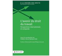 L'avenir Du Droit Du Travail - Perspective Internationale Et Comparée