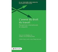 L'avenir du droit du travail - Perspectives internationale et comparée
