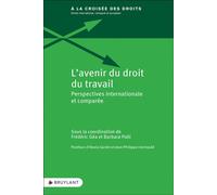 L'avenir du droit du travail - Perspectives internationale et comparée - Frédéric Géa - Bruylant - broché - Etude