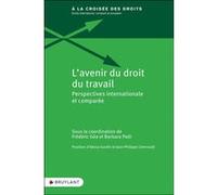 L'avenir du droit du travail - Perspectives internationale et comparée Frédéric Géa (Coordination éditoriale), Barbara Palli (Coordination éditoriale), Alexia Gardin (Postface), Philippe Lhernould (Po