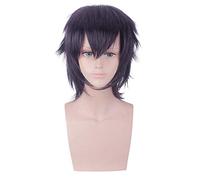 L'aventure Bizarre de JoJo Ghirga Narancia perruques de Cosplay 30cm cheveux synthétiques courts et droits noir violet perruque d'anime mixte pour homme Ghirga Narancia