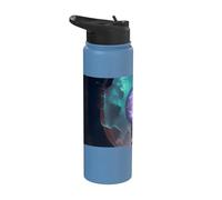 L'aventure du sorcier et le portail mystique Stainless Steel Insulated Water Bottle
