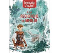 L'aventurier, c'est toi - A la recherche de Merlin