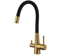Laveo Riveco batterie pour filtre à eau sur pied noir-or/vieil or BRI_G68D
