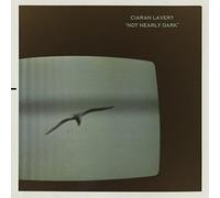 Lavery, Ciaran - Not Nearly Dark