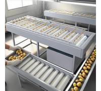 Laveuse à fruits écologique : nettoyage et épluchage efficaces pour le manioc, la pomme de terre, la carotte