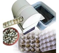 Laveuse d'œufs automatique, laveuse d'œufs électrique, nettoyage de surface des œufs, 2 300 œufs/heure, œufs de poule, de canard et d'oie, laveuse d'œufs