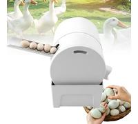 Laveuse d'Œufs Avicole pour Biosécurité, 2300 pcs/h Nettoyeur Électrique avec Brosses Sans Entretien, Matériel de Zootechnie Avancé pour l'Agriculture Moderne