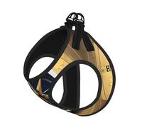 Law of the Compass Ensemble harnais et laisse pour chat et petit chien, réglable, réfléchissant et anti-fugue avec doublure en maille douce et respirante