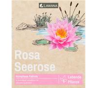 LAWANA Ninfea Natura - Coco "Fabiola" - 1 pcs