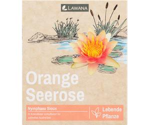 LAWANA Ninfea Natura - Coco "Sioux" - 1 pcs