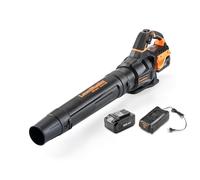 LawnMaster MX 24V Souffleur de Feuilles sans Fil avec Turbine axiale | Souffleur de Jardin Puissant avec Batterie Lithium-ION MX 24V et Chargeur Inclus | Garantie 2 Ans