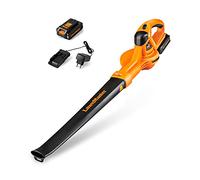 LawnMaster Souffleur Feuilles sans Fil MX 24V avec Batterie