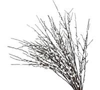 Lawnrden 4 Bundles Artificial Pussy Willow Branches 31, 5 dans Une Longue Chatte réaliste avec des Fleurs Blanches DIY DÉCORATIVE Pussy DRIGE BLACHES Willow |.Faux
