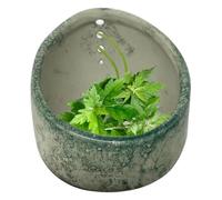 Lawnrden Herb Stripper Bol avec 4 Trous de Strip-teaseuse d'herbe en céramique de différentes Taille 3, 9x3, 9 Outil décapage Polyvalent pour séparer Les Feuilles et Les tiges |.Céramique