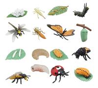Lawnrden Jouets du Cycle de Vie pour Enfants | Jouets du Cycle de Vie pour Enfants, 4 Ensembles d'insectes Comprenant Un Papillon, Une Abeille, Une Libellule et, des Insectes en Plastique, des