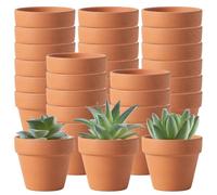Lawnrden Lot de 30 Pots en Terre Cuite avec Trous de Drainage, Petites Mini jardinières en céramique d'argile, Pots en Terre Cuite Fleurs Cactus, pépinière Plantes succulentes pour Plantes d'intérieu