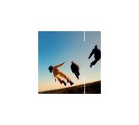 Lawrence Hart - Come In Out Of The Rain [Vinyl Lp] Digital Download