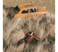 LAWRENCE ROTHMAN THE PLOW THAT BROKE THE PLAINS (Vinyl)