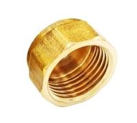 LAXALO Bouchon d'extrémité à tête hexagonale for tuyau en laiton à filetage femelle, adaptateur de connecteur de coupleur de raccord en laiton BSP, 1 pièce(1/2inch)