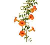 laxreheye Supports pour Cultures, Support métallique de 13 Pouces 34 cm, Trellis pour en Pot - pour Jardin extérieur Patio pelouse Pot vis Rose Fruits et d'intérieur